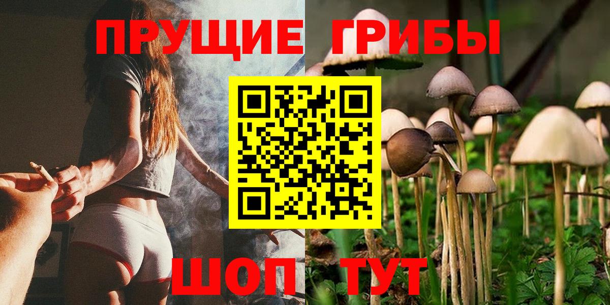 Псилоцибиновые грибы GOLDEN TEACHER Саяногорск