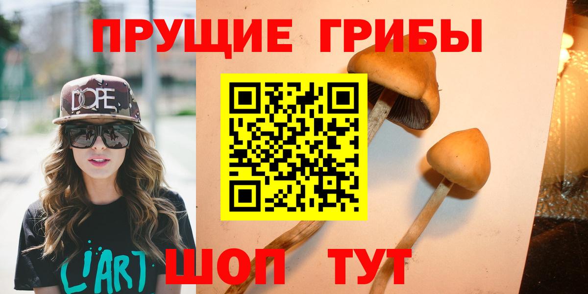 Саяногорск  Псилоцибиновые грибы GOLDEN TEACHER  Вход с VPN 